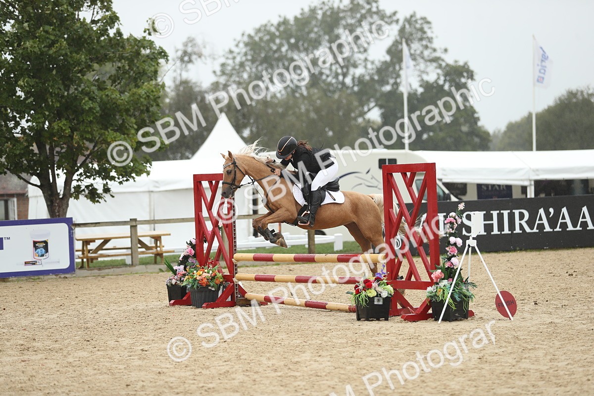 SBM_73928 - J16 - Junior Pony 75cm Championship