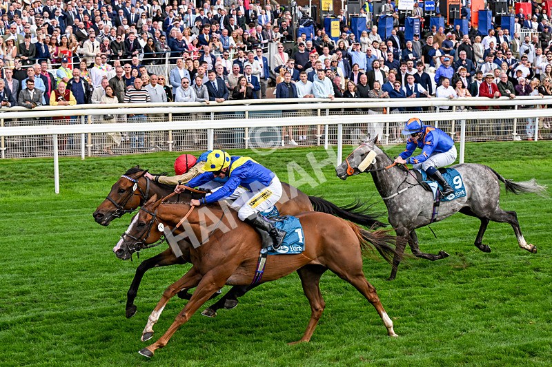 210826-Race 5-Plage De Havre-0322 - Race 5 16.10pm Assured Data Protection Handicap
