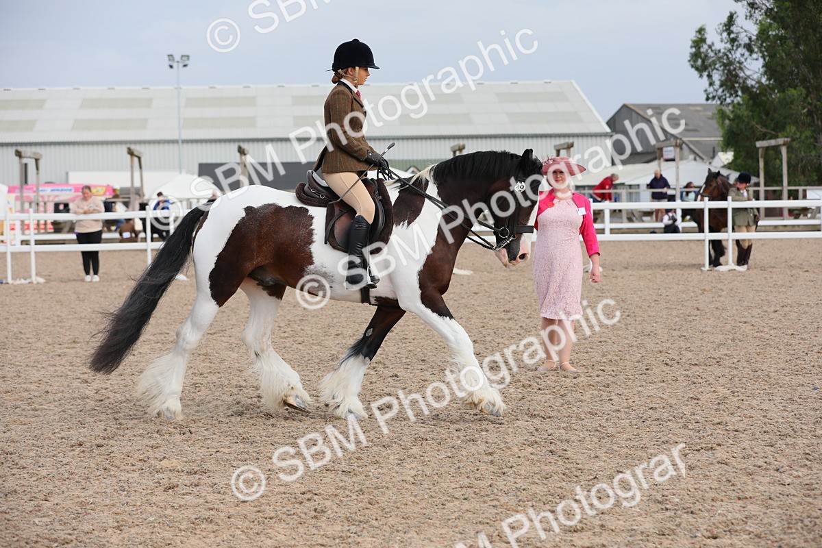 SBM_17761 - Class 315 Best Horse/Rider Combination
