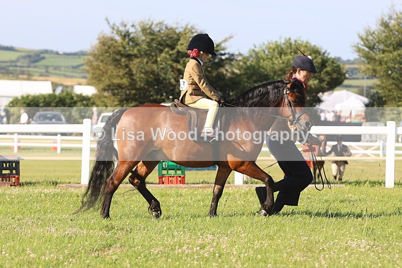 JPP_0915 - Class 16: Cornish Combination Leading Rein