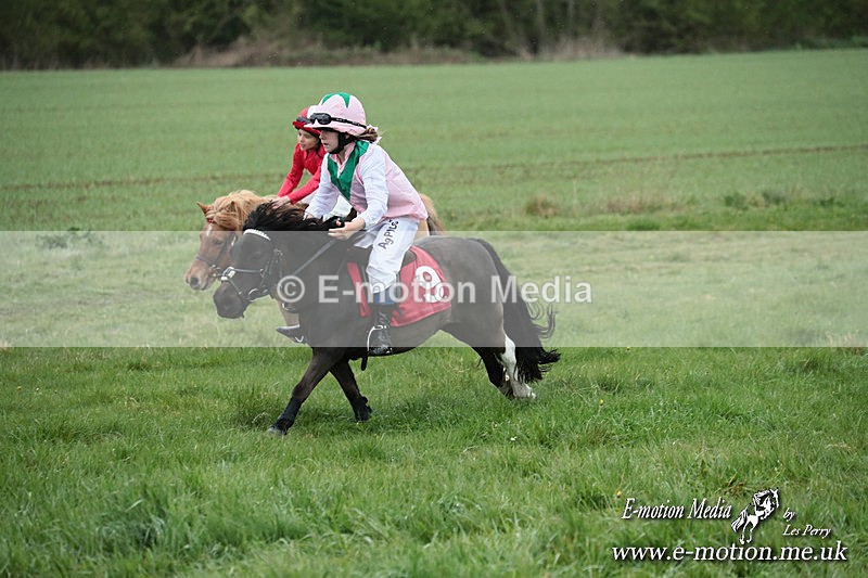 SHETPR 210425 199 - Shetland Ponies Paxford Races 21/04/25