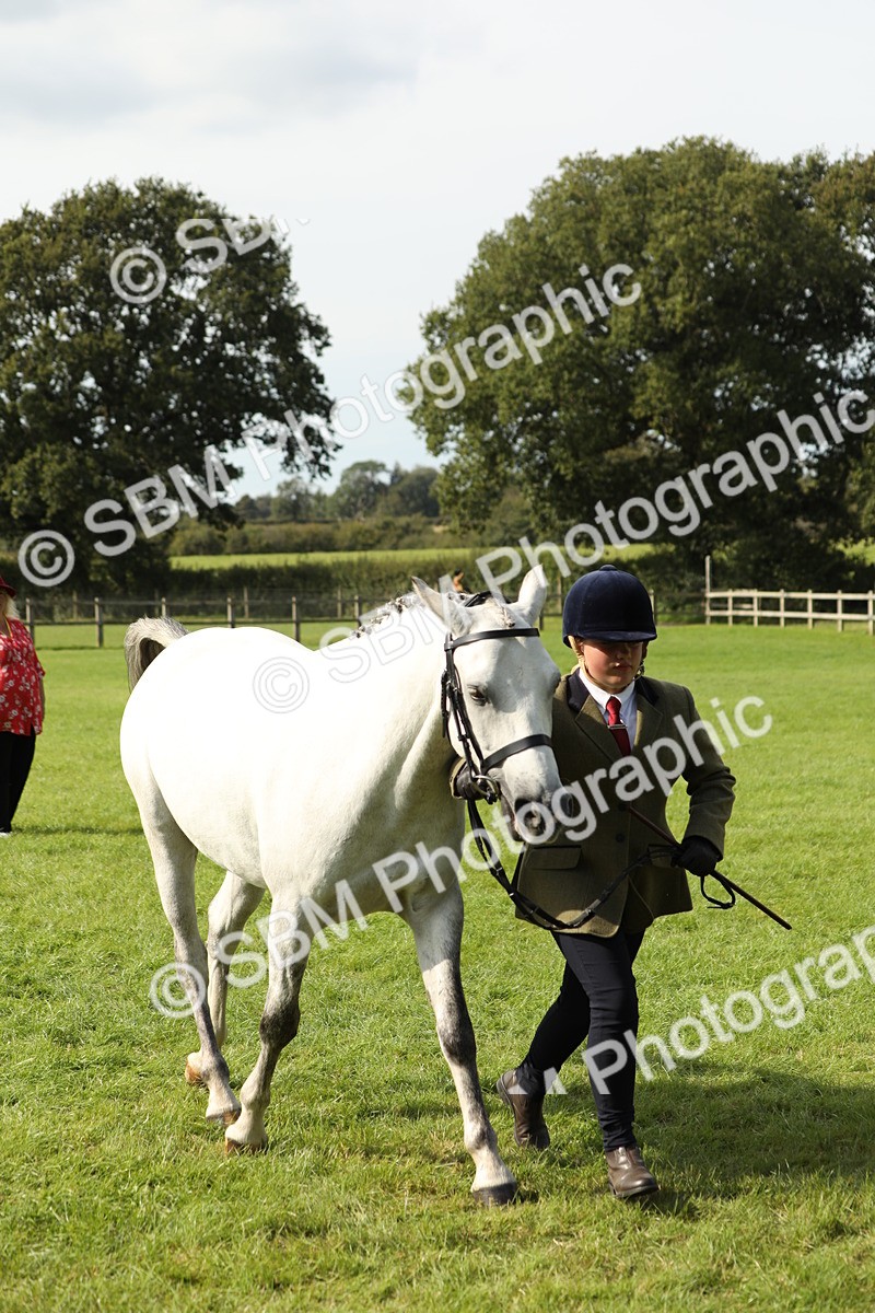 SBM_68624 - S40 - Junior Handler 9-12 Years