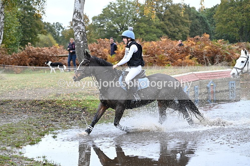 WJ7_2269 - 80cm Cam 2 Pairs Time 12:18 to 12:43