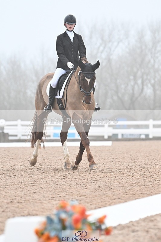 240217A-095412-00485 - 123-Daisy.Hedges-Felicia.v