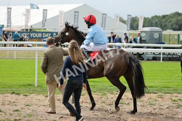 yr04092022p1-29 - 12.30pm 148cm Conditions Pony Race