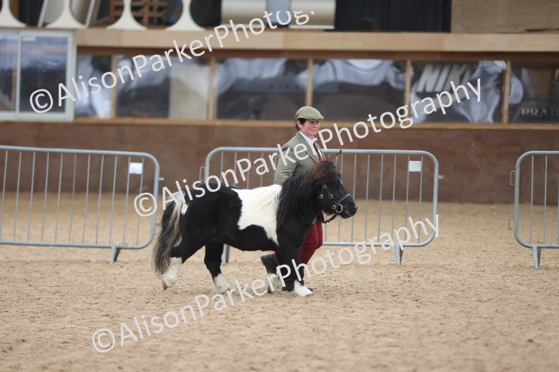 20251109-1224 - Supreme Championship