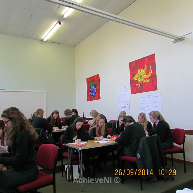  - Peer Mentoring 2014