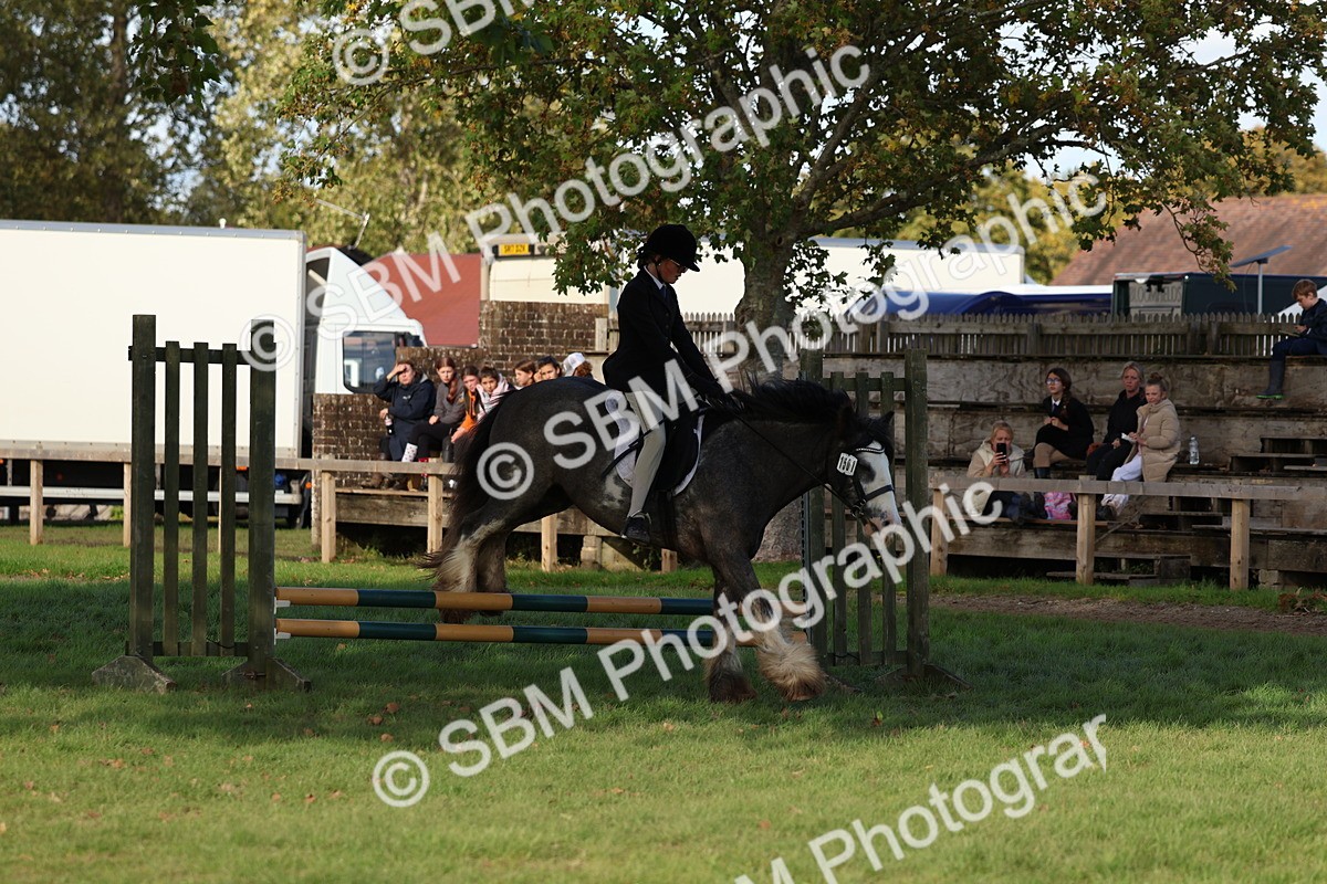 SBM_52488 - S13 - Pony Club Pony