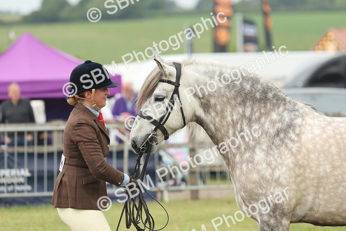 SBM_08985 - Class 78-80 - Ridden M&M Non Welsh Ponies