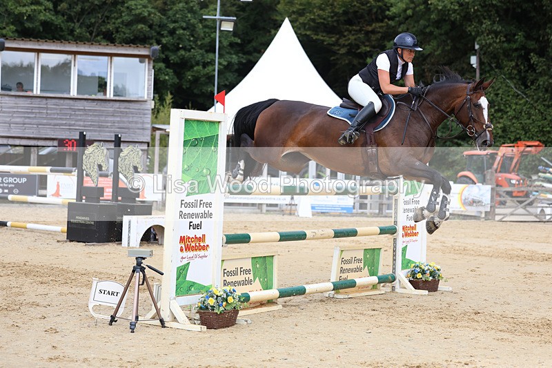 3E7A4444 - Class 8: Senior Foxhunter/1.20 open