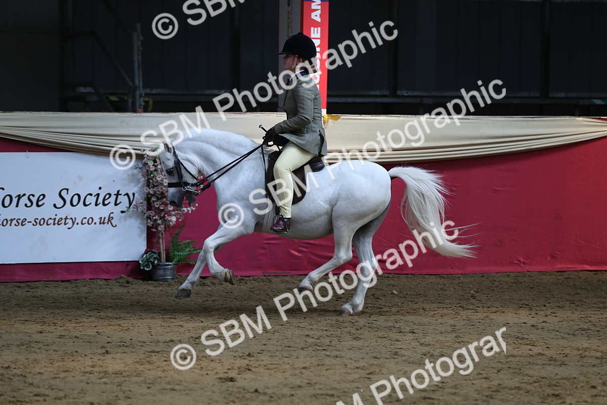 SBM_08351 - Class 11R Regional Ridden Veteran