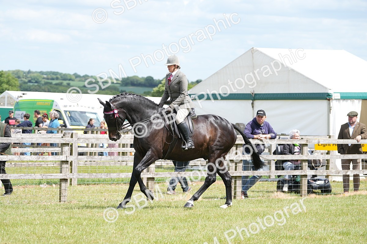 SBM_16178 - Class 105-106 - RIHS Riding Horses