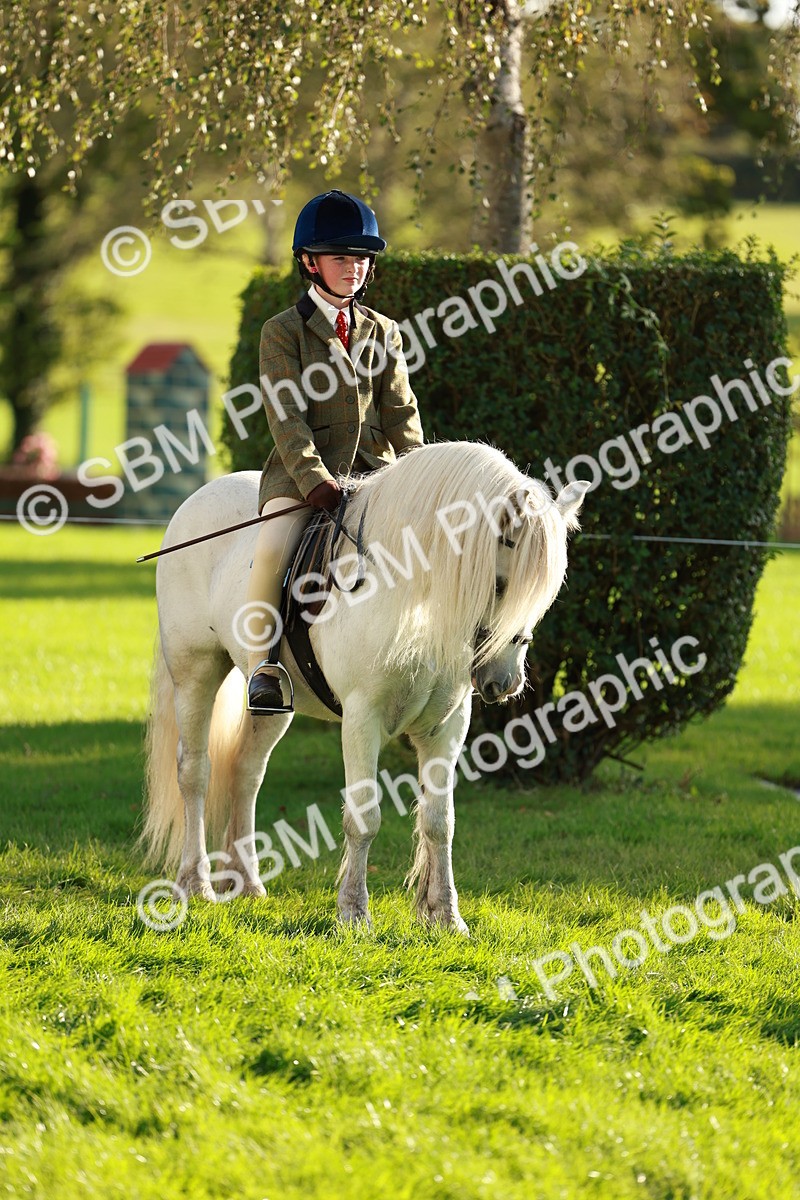 SBM_28695 - S7 - Novice & Newcomer Ridden Pony
