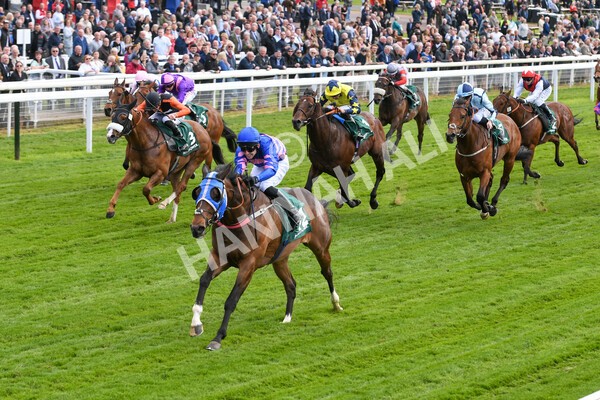 yr12052022r1-18 - Race 1 1.50pm Paddy Power 'Making Flat Less Flat' Stakes