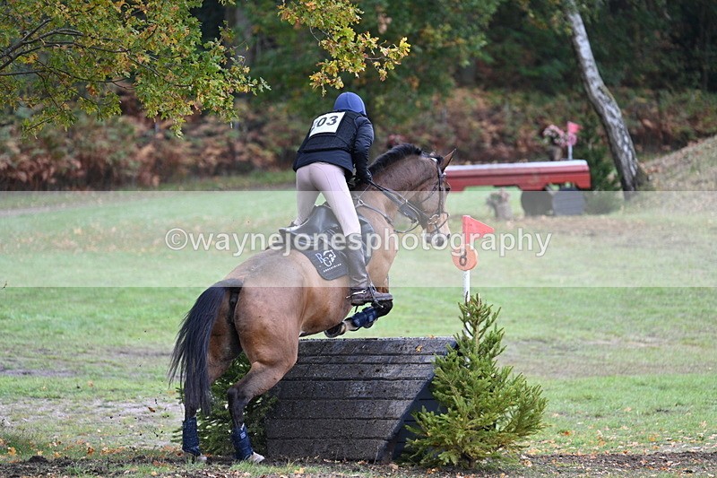 WJ7_5367 - Time 13:00 to 13:18