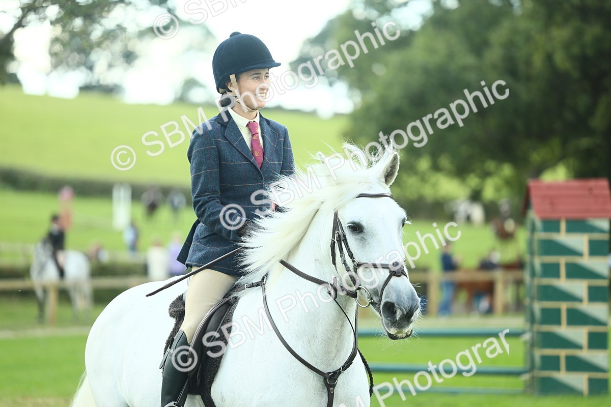 SBM_42914 - S30 - M&M Working hunter Pony