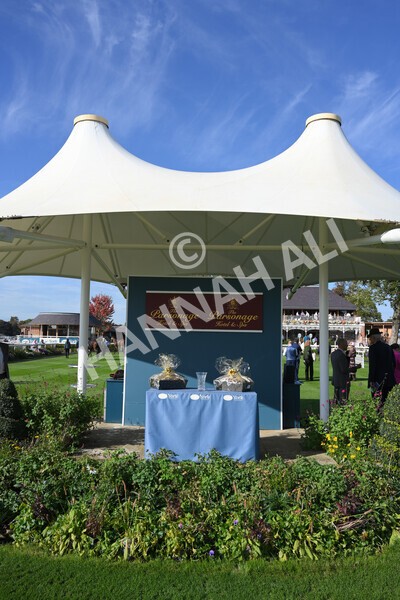 yr08102021r1-36 - Race 1 2.05pm Parsonage Hotel and Cloisters Spa Nursery Handicap