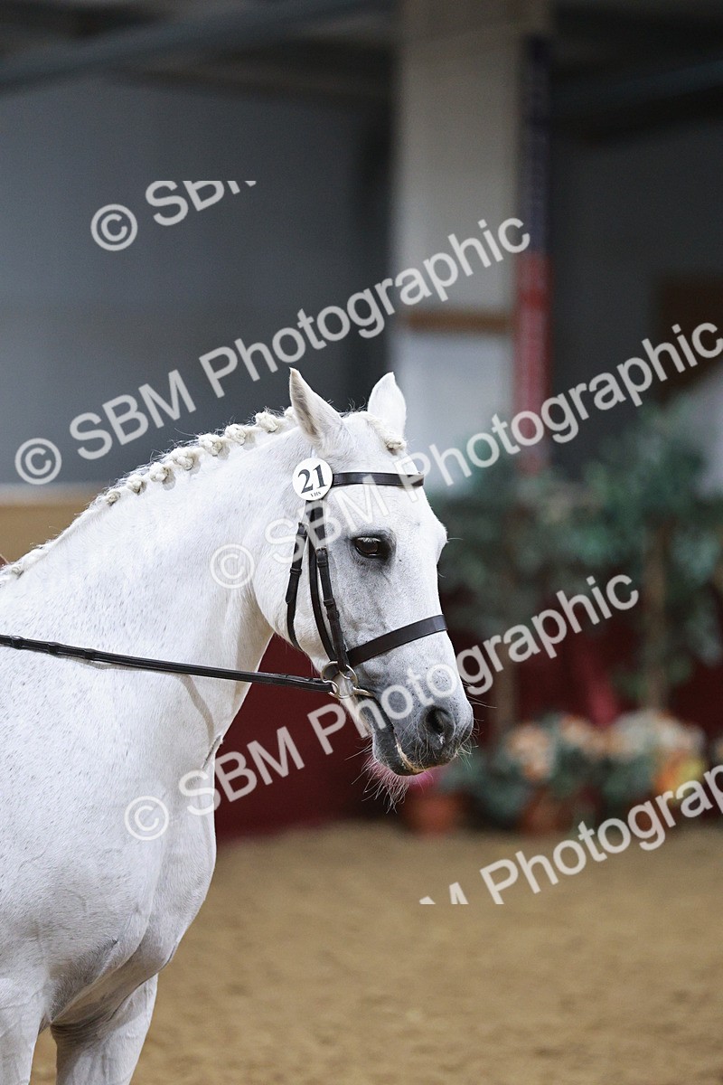 SBM_08086 - Class 11R - Regional Ridden Veteran