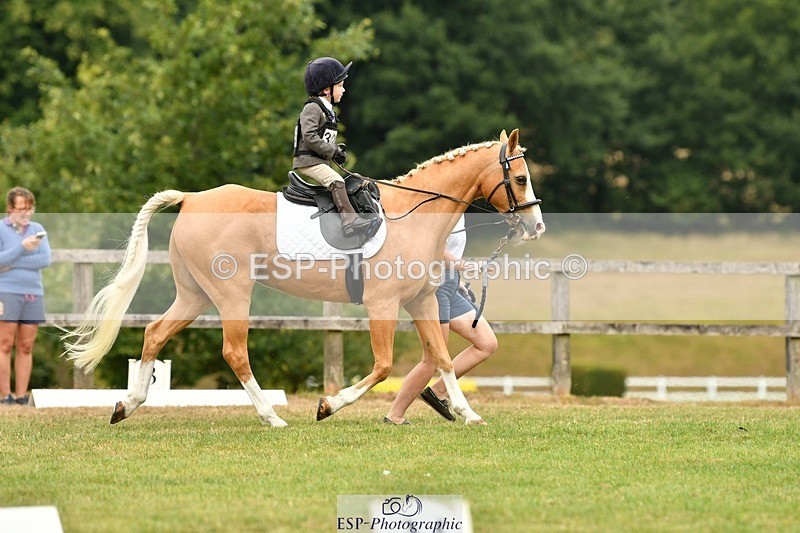 250820A-114721-05288 - 11am to 12