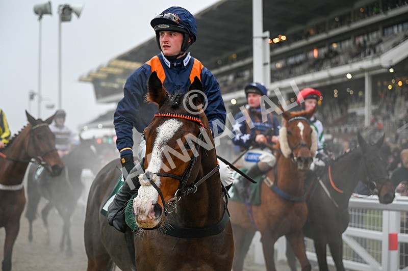 131224-Race 3-Mirabad-9555 - Race 3