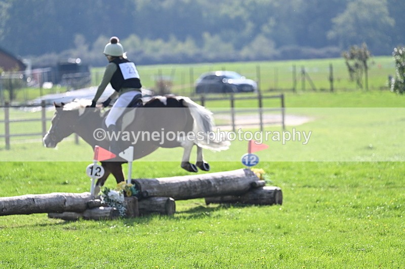 WJ7_4860 - 60cm Time 11:11 to 11:19