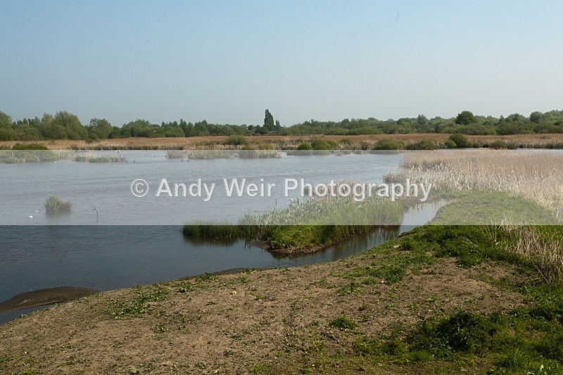 20110422-IMG_1593 - Woolston Eyes Nature Reserve