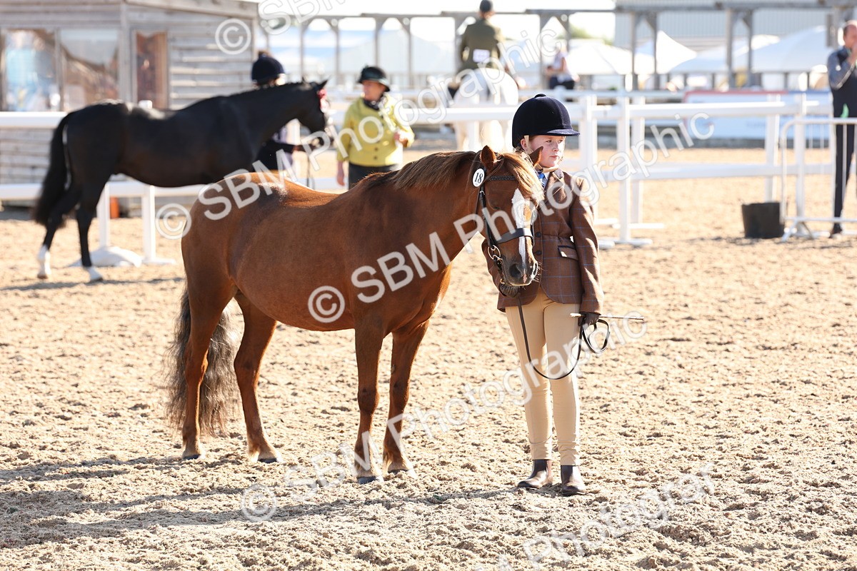 SBM_11655 - Class 203 - Young Handler 11 to 16 years