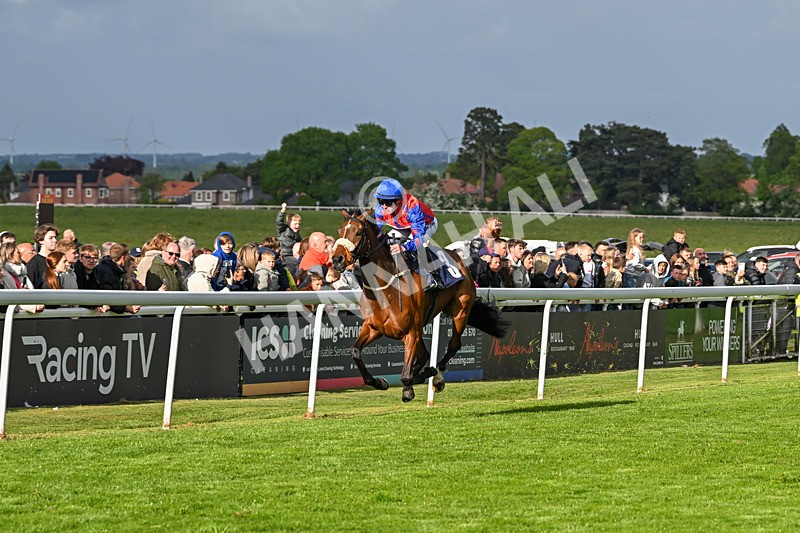 050525-Race 7-Spring Chorus-5563 - Race 7
