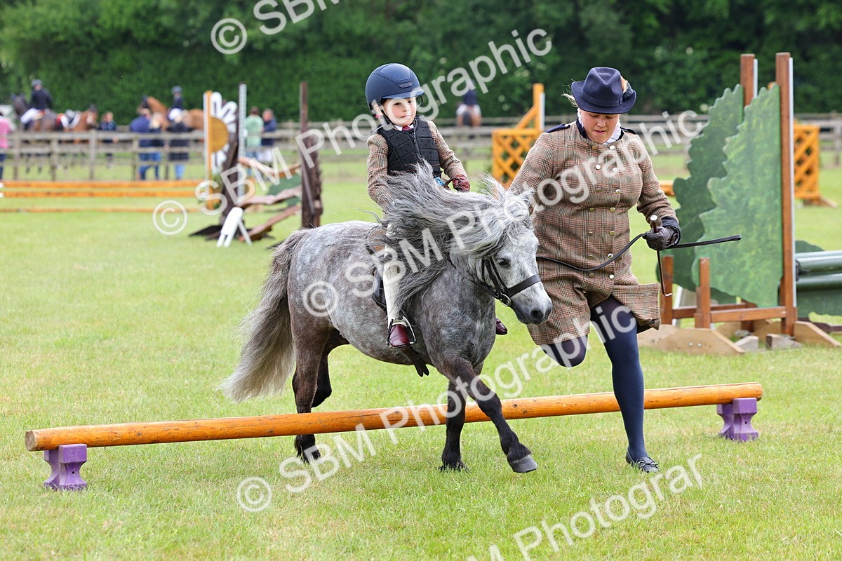 SBM_08118 - Class 42-43 - LIHS BSPS Heritage Working Sports Pony