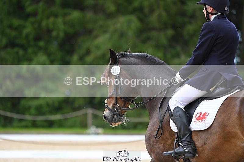 230813-140932-07687 - Cls 13 Medium Bronze 13.15 to End