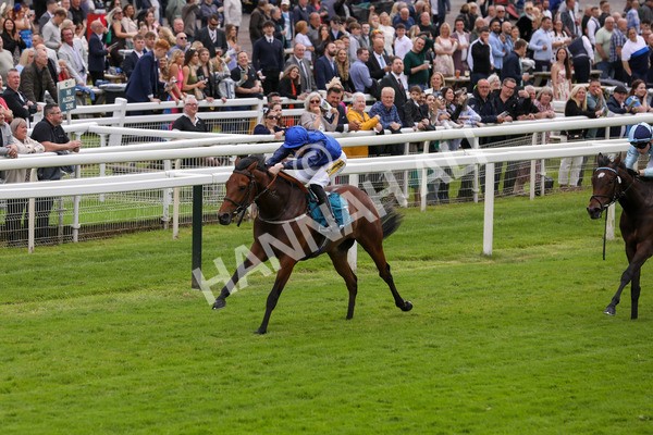 140624-Race 2-Inconspicuous-5561 - Race 2 2.25pm CGE Yorkshire Rous Selling Stakes