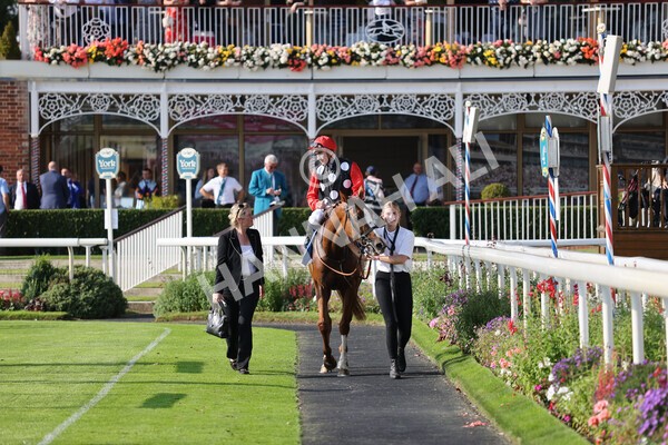 yr05092021r5-26 - Race 5 4.20pm Little Green Rascals Children's Nurseries Stakes