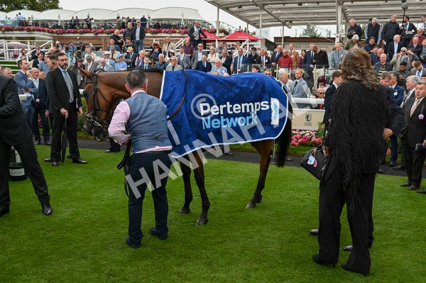 220824-Race 4-Content-7073 - Race 4 3.35pm Pertemps Network Yorkshire Oaks