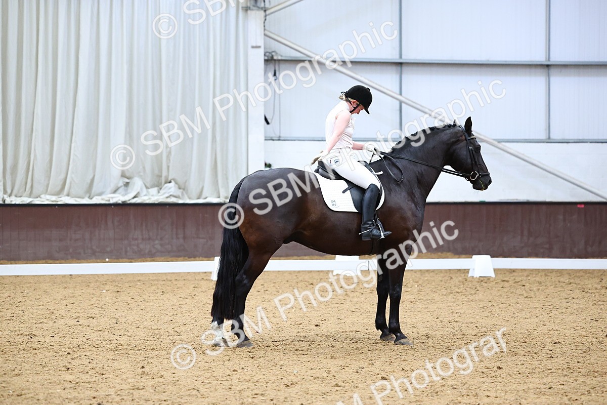 SBM_005555 - Elementary 2