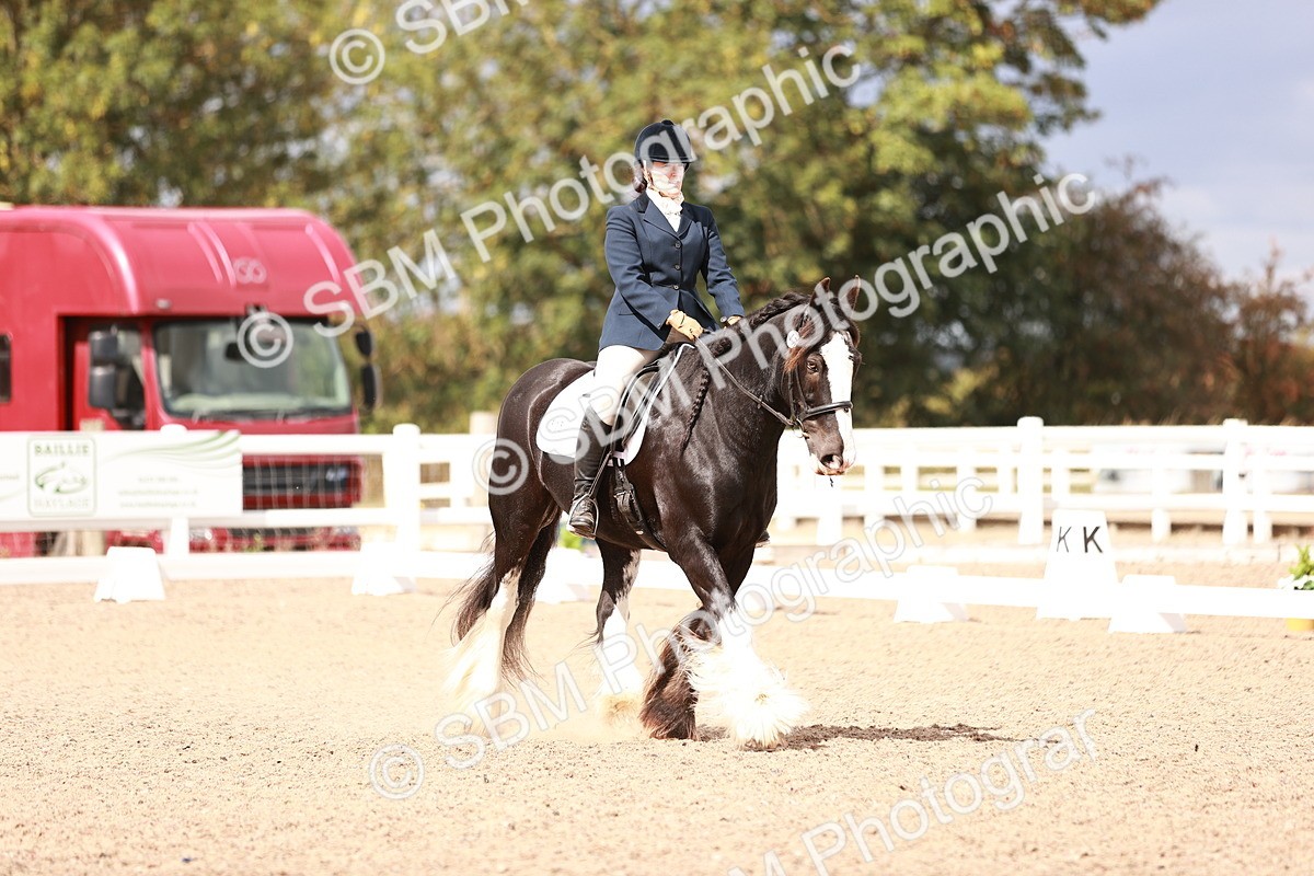 SBM_06191 - Class 37 - Novice 5