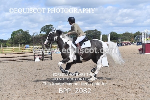 BPP_2082 - DERBY CLASS 6 - 70CM