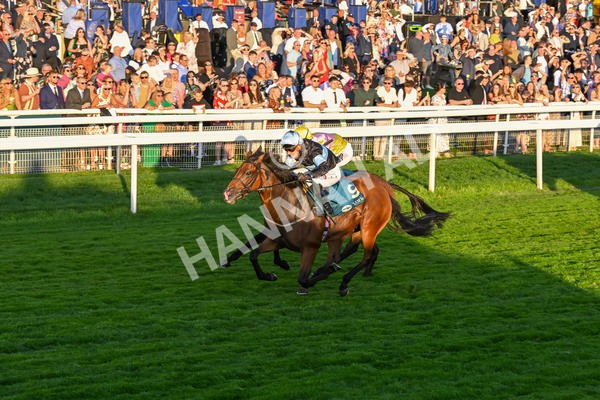 260724-Race 6-Duran-5536 - Race 6 8.20pm Sky Bet Go-Racing-In-Yorkshire Summer Festival Handicap