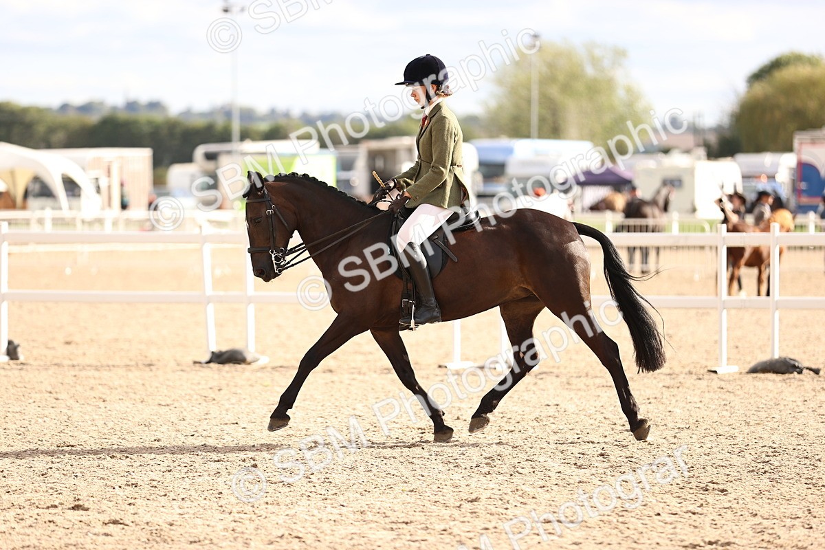 SBM_18242 - Class 423 - Equitation (best rider) Adult