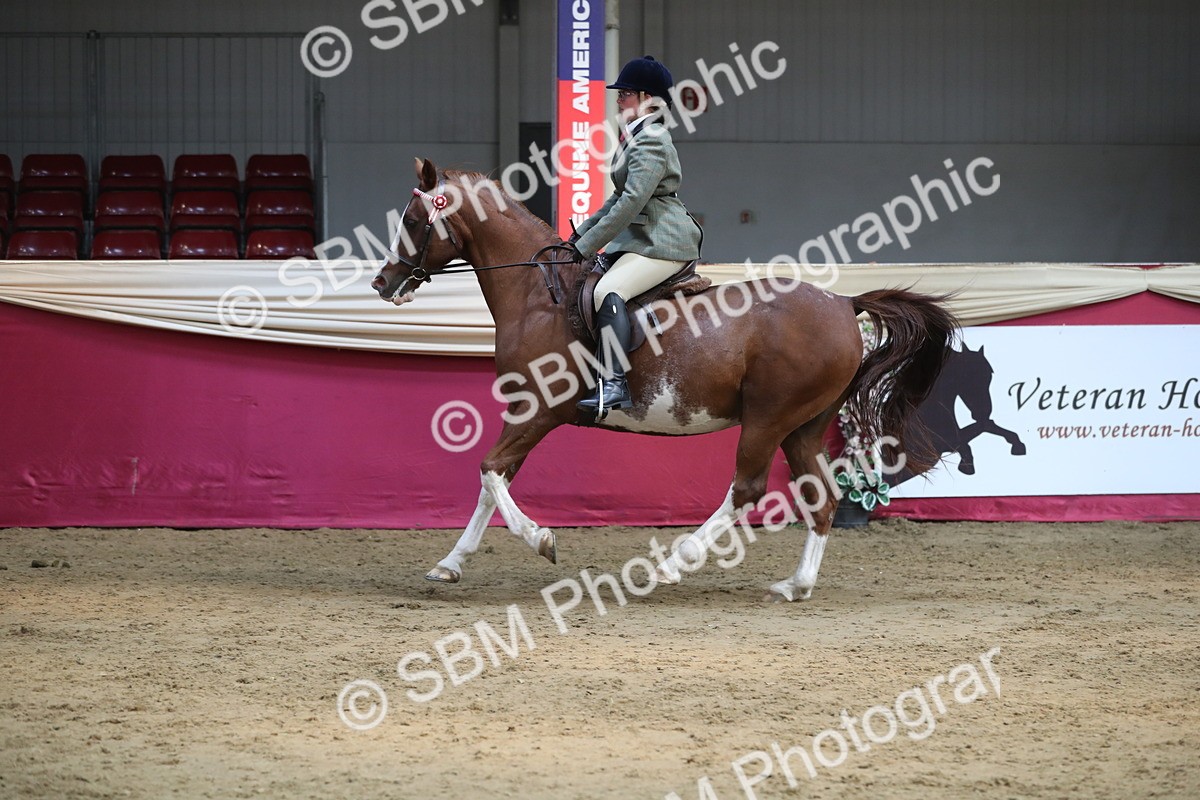SBM_08360 - Class 11R Regional Ridden Veteran