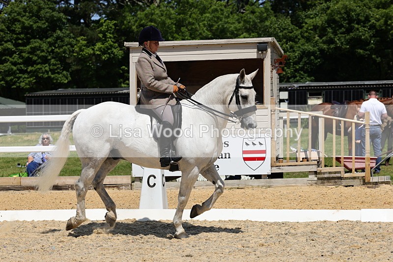 1X9A1707 - Class 11: Ridden Cob