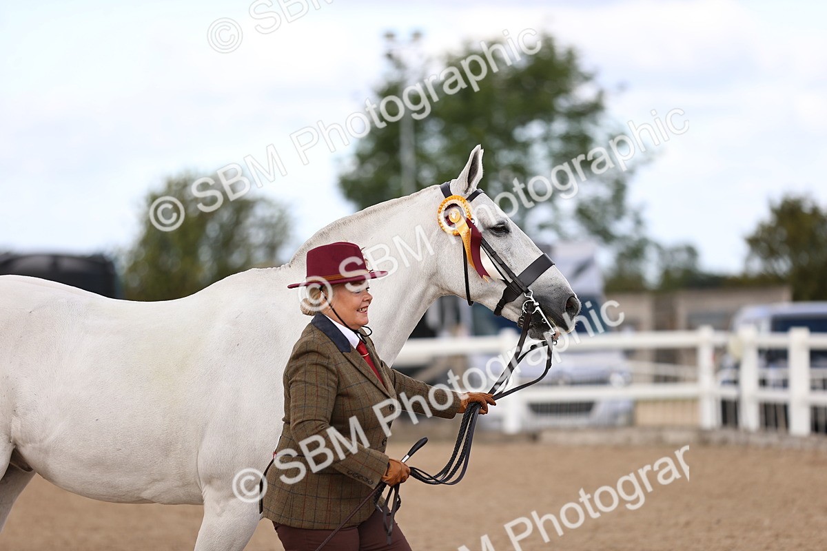 SBM_10409 - Class 405 - IH Show Cob