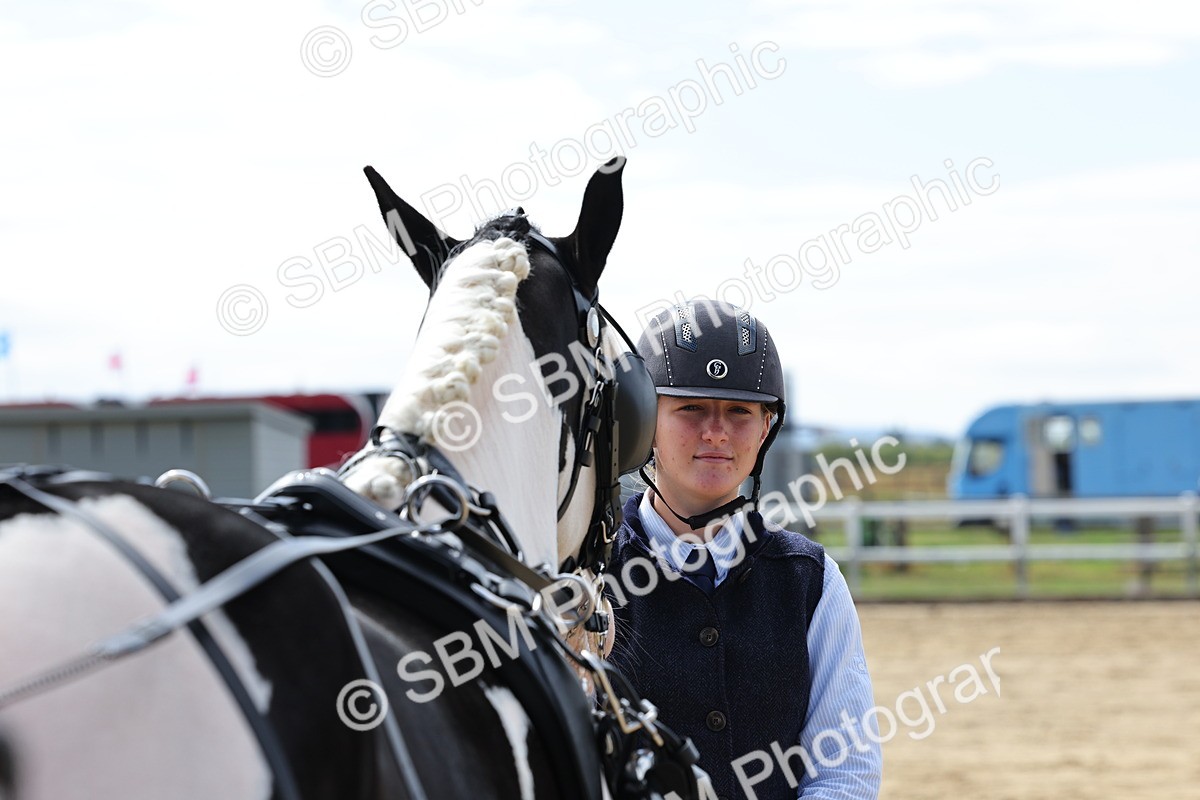 SBM_000926 - Class 8 - Novice Horse or Pony to any vehicle