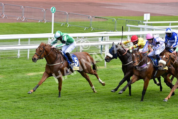 yr12052021r2-41 - Race 2 2.10pm Churchill Tyres Stakes