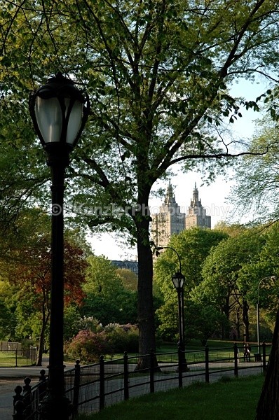  - Central Park Springtime
