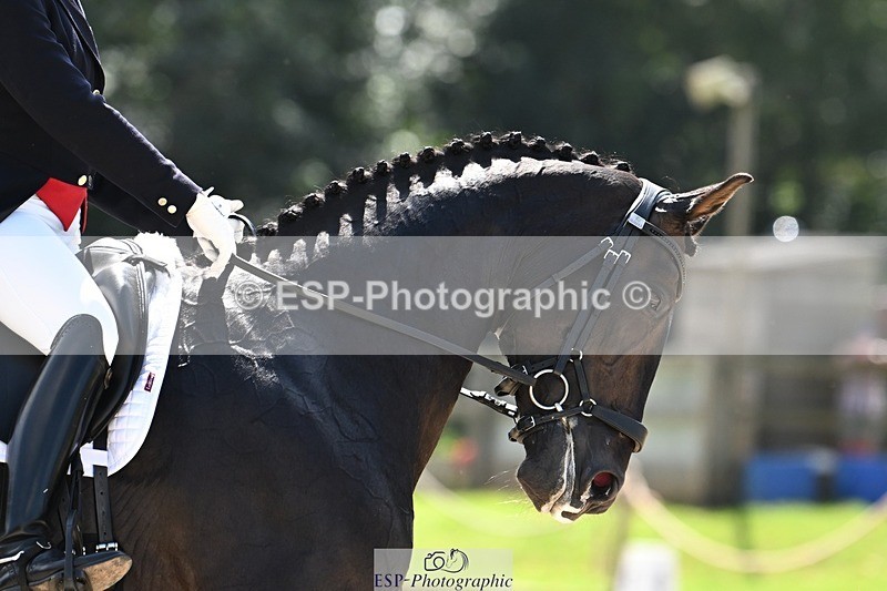 240811-143006-06482 - 190-Becky.Edwards-Laerke.Stensvang