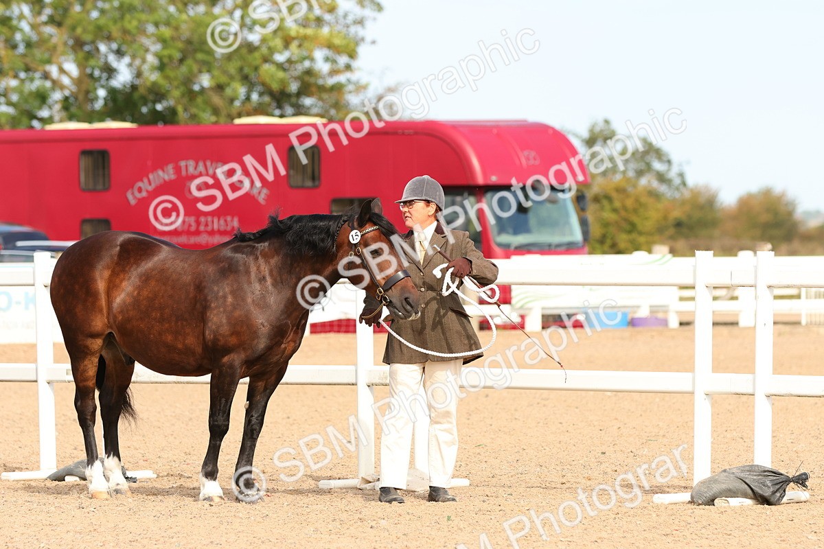 SBM_17993 - Class 707 - IH Groom - Helpers Glass