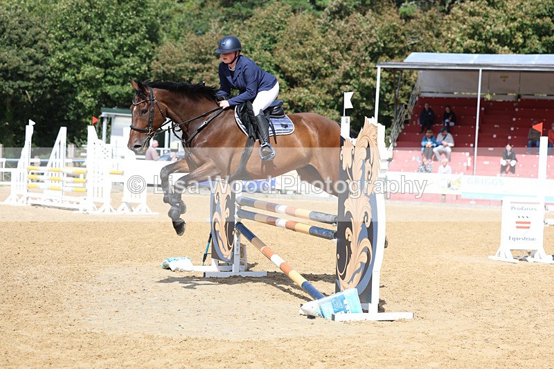 3E7A9459 - Class 9: Senior British Novice/90cm open
