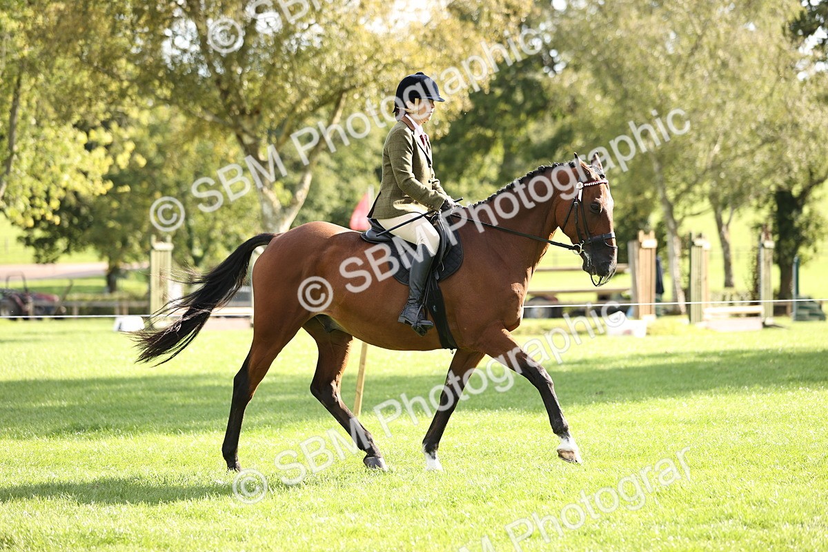 SBM_26344 - S6 - Novice & Newcomers Ridden Horse