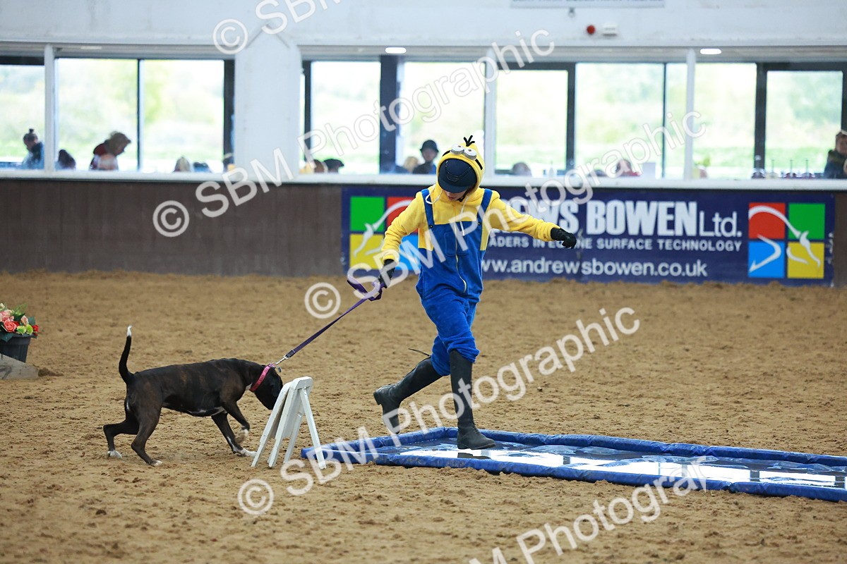 SBM_002249 - Class 3 - Horse & Hound (60cm)