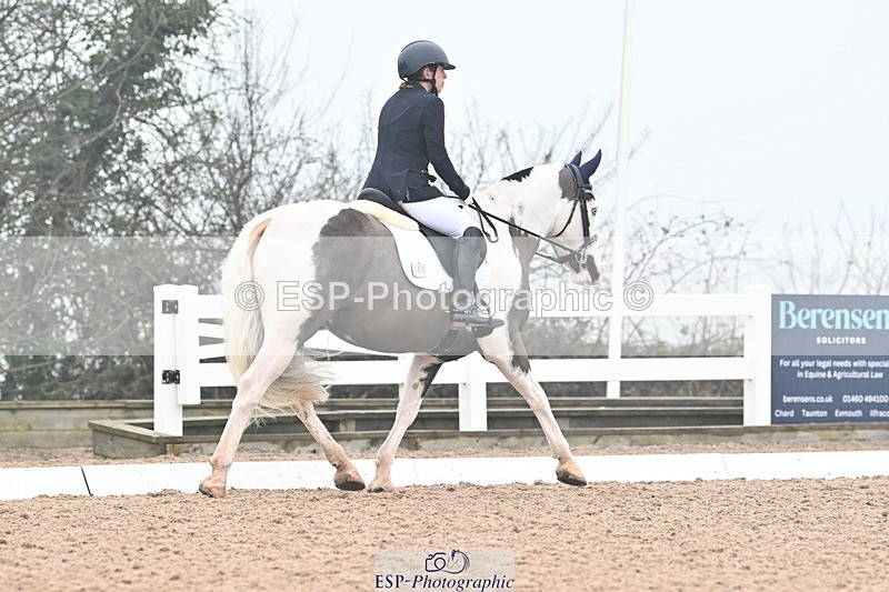 240217A-121012-02131 - 100-Gemma.Pine-Major.IV